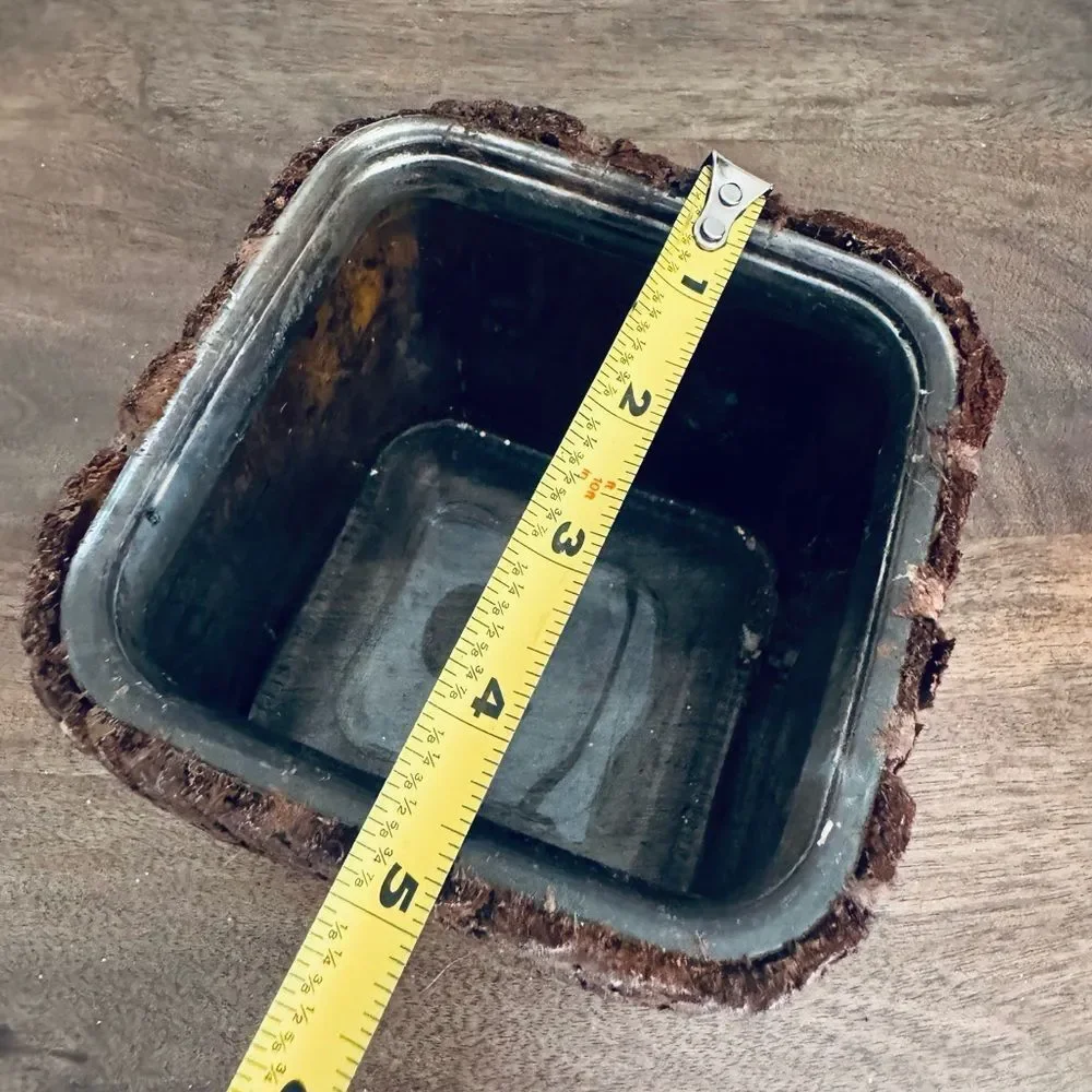 Wood Bark Rustic Glass Planter Pot Vase